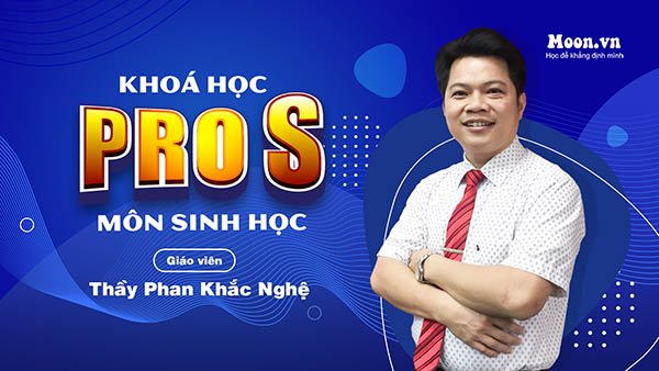 PRO SAT - GIẢI PHÁP LUYỆN THI THPT QG 2022