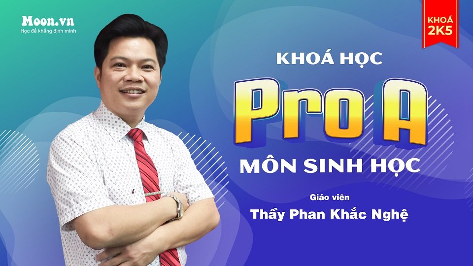 Moon.vn - Học để Khẳng định Mình!